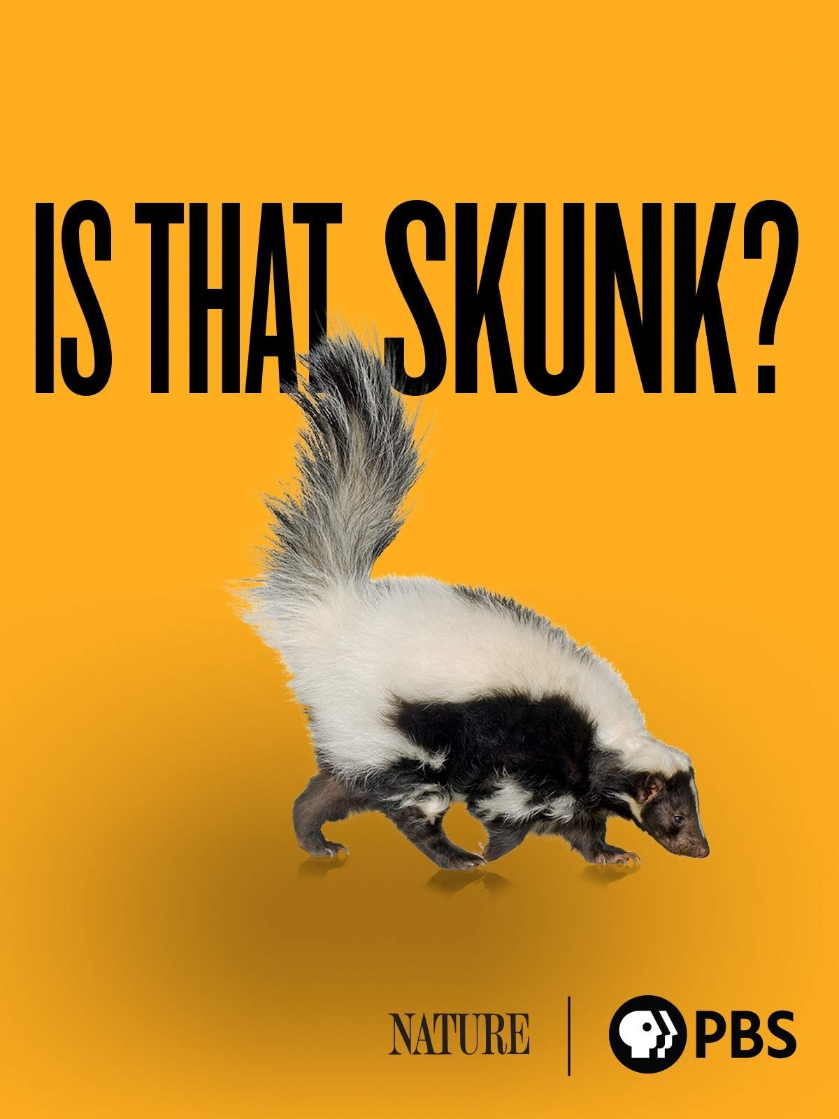 Постер Is That Skunk?